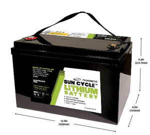 Go Power! 100Ah 12V Lithium Iron Phosphate Solar Battery - GP-LIFEPO4-100